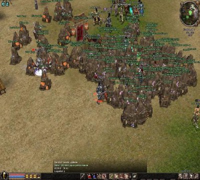 bug1.jpg
