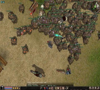 bug2.jpg