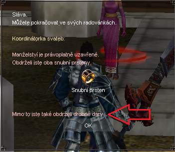 hntdary.png
