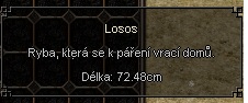 LOSOS.jpg