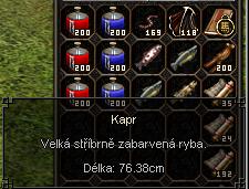 Kapr.JPG