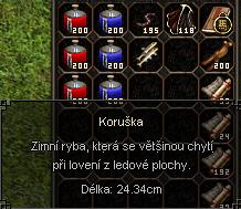 Koruska.JPG
