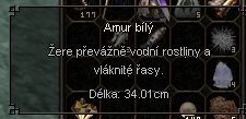 Amur bílý.png