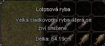 otos.JPG