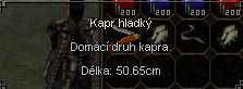kap.jpg