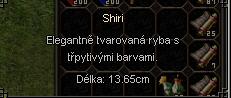 Shiri1.JPG