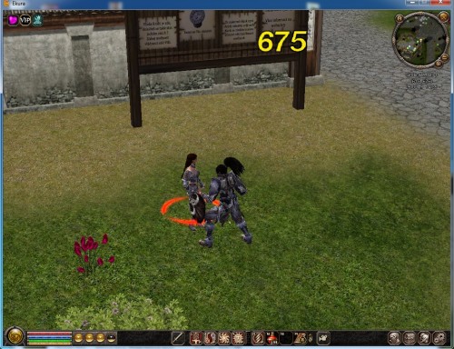 dmg.jpg